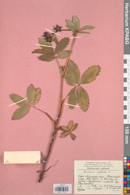 KPABG027941