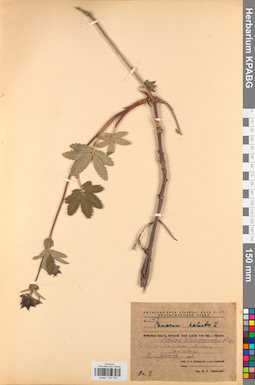 KPABG027975