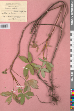 KPABG027983