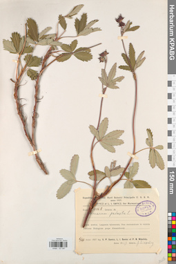 KPABG027997