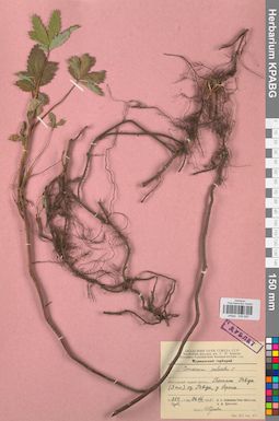 KPABG028006