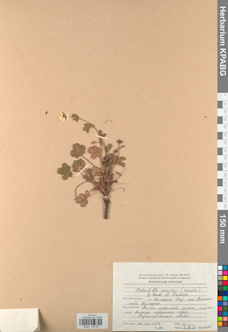 KPABG028061