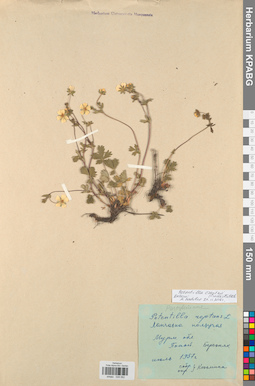 KPABG028062