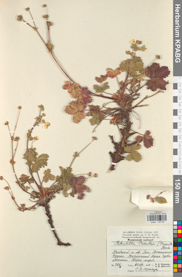KPABG028086