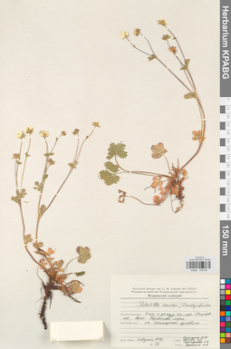 KPABG028087