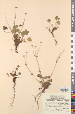 KPABG028107