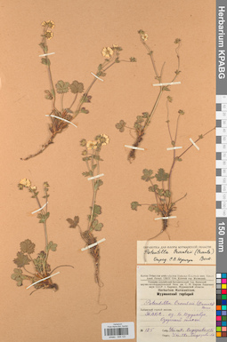 KPABG028122
