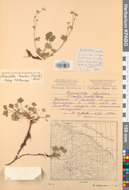 KPABG028123