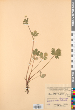 KPABG028130