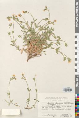 KPABG021782